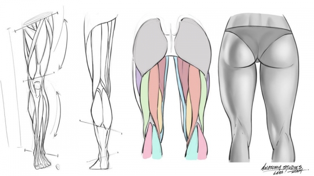 Front-rear_Leg_Anatomy-reference-sheet-web Leg Anatomy Reference Sheet for Comic Aritsts